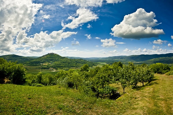Motovunský les, Chorvátsko