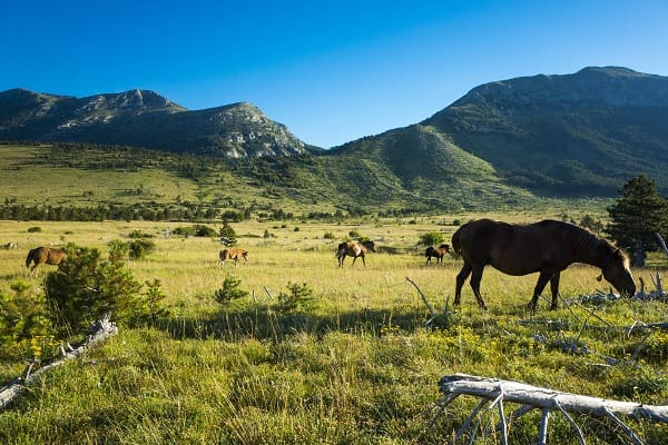 Prírodný park Velebit, Chorvátsko
